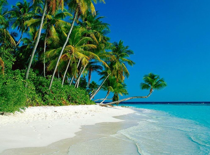 Plan the Big Proposal in the Sun