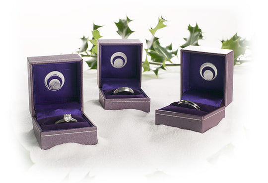 Thinking of Proposing This Christmas?