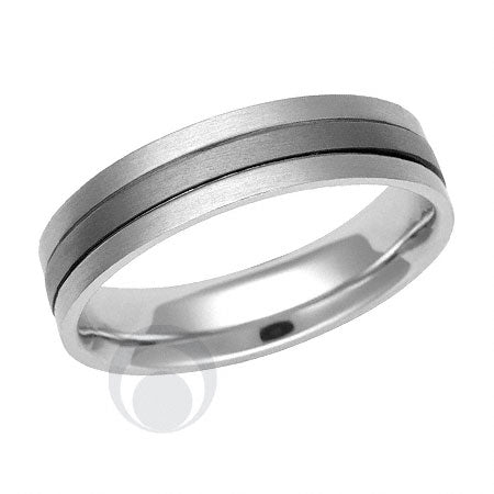 Titanium and Platinum Wedding Ring